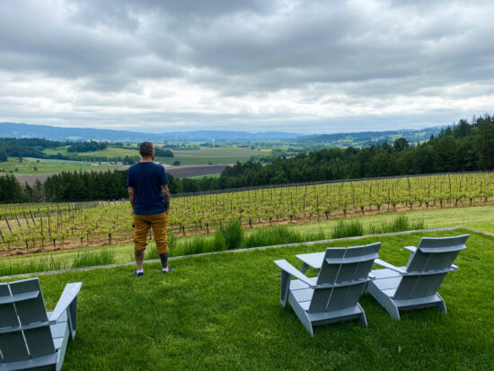 Man standing over vineyard.