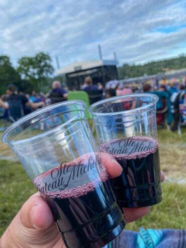 Hand holding two plastic glasses of red wine.