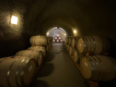 Wine cellar with wine barrels.