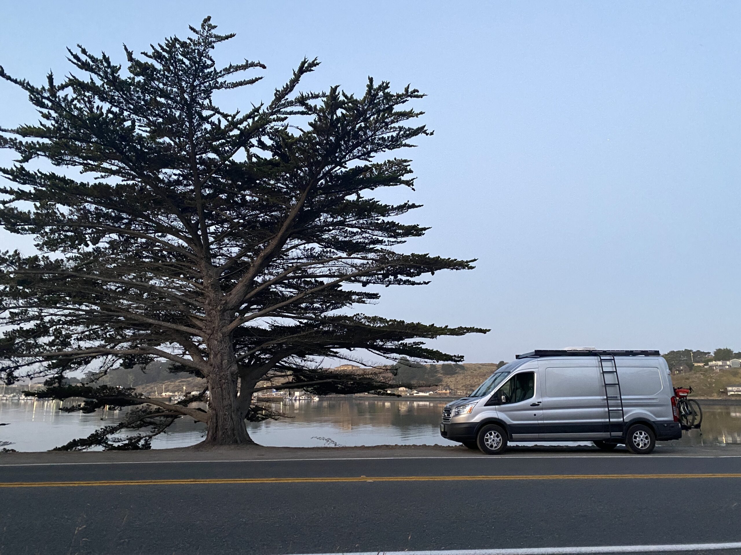 A grey van parked on the water next to a large tree.
