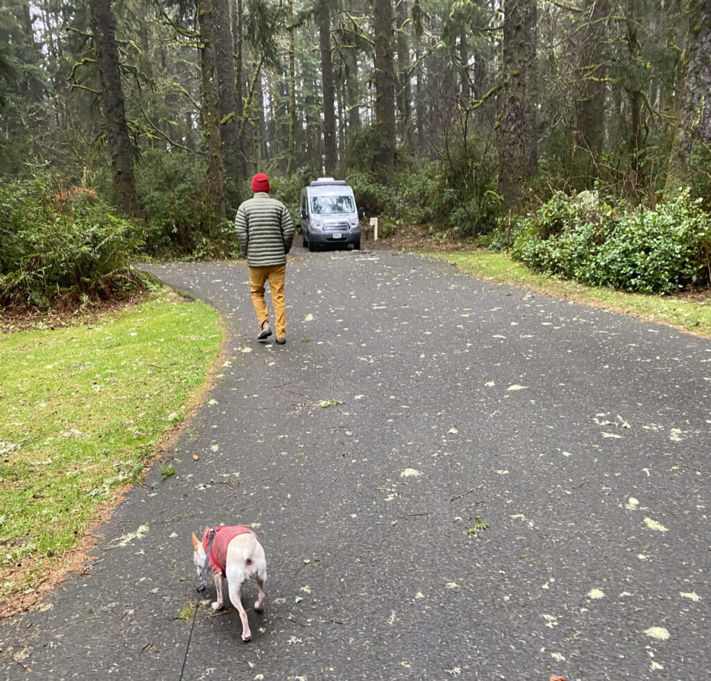 A man walking towards a van in the woods with a dog on a leash behind him.