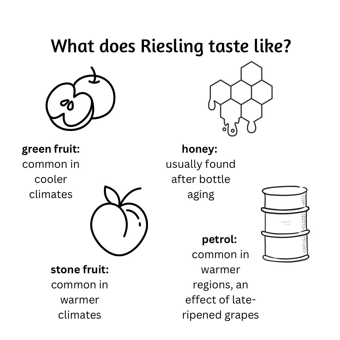 Chart showing what Riesling tastes like.