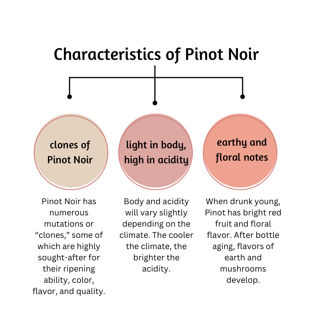 Chart showing characteristics of Pinot Noir.
