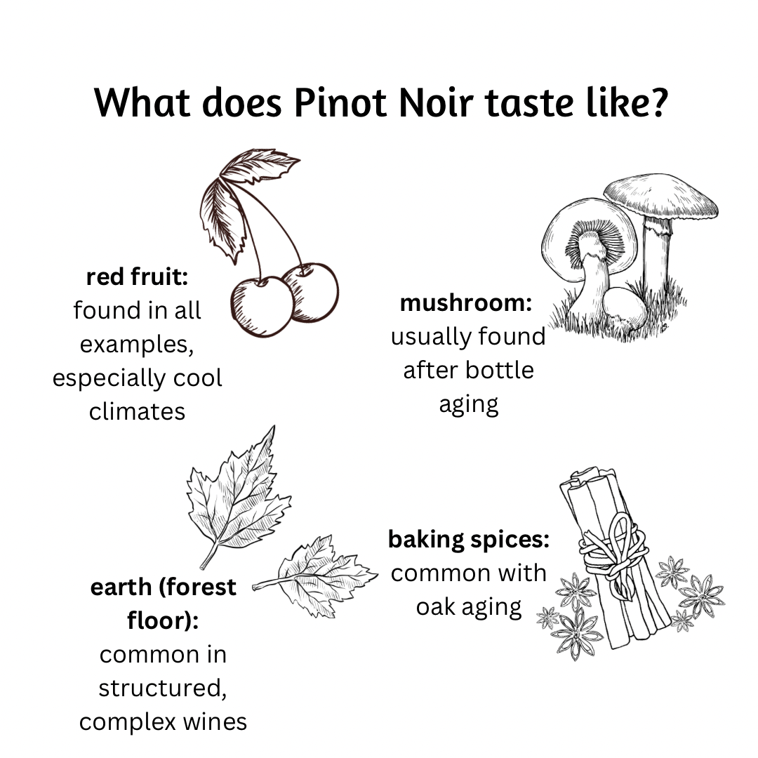 Chart explaining what Pinot Noir tastes like.