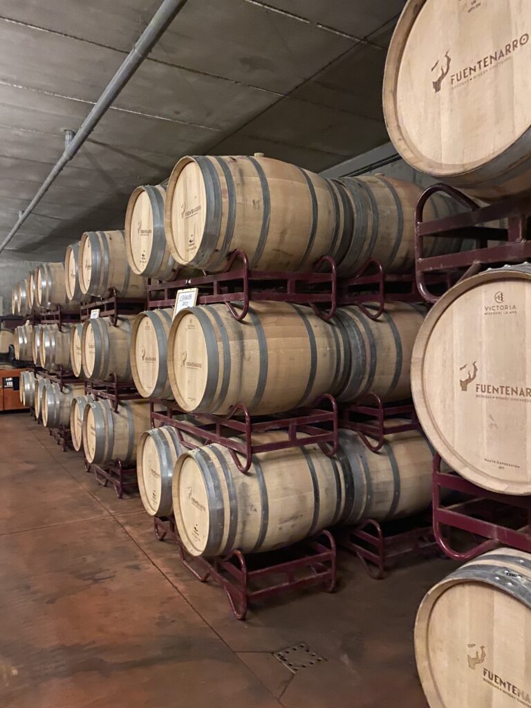 A row of stacked wine barrels.