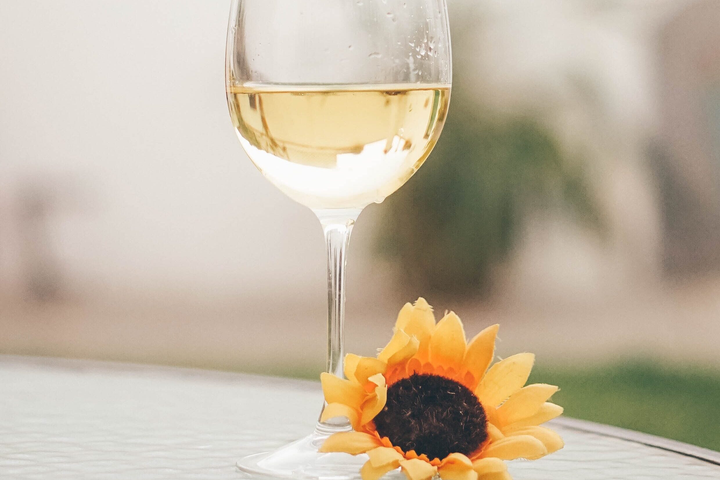 A glass of white wine next to a sunflower.